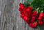 Bild von Rosen (Print@Home)