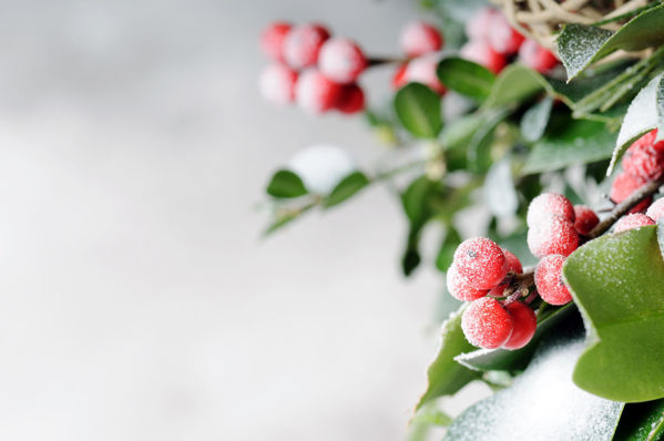 Bild von Winterzweige